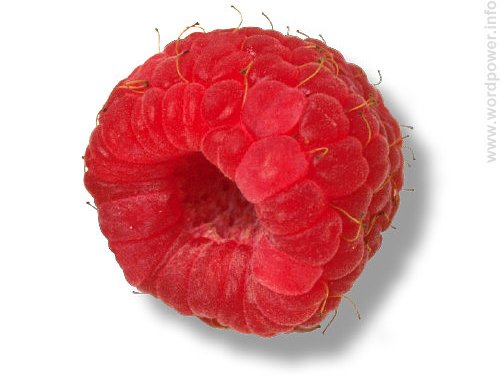 A photo quality image of a raspberry.