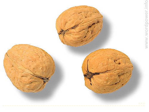 A photo quality image of walnuts